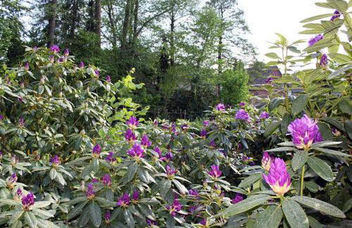 Haus am Moorbeek - Foto 15