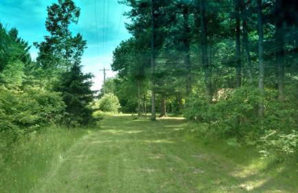 Secluded Rustic Cabin Rental Inside Manistee National Forest in Brethren, Michigan - Foto 12