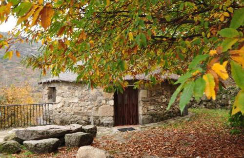 Chozos Rurales El Solitario - Foto 58