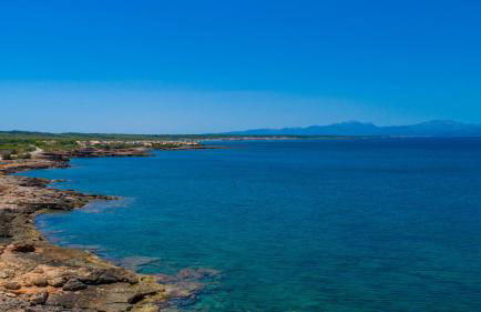 Petit Artà - Foto 47