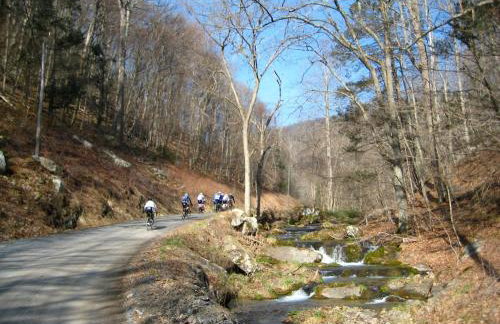 3BR Pet Friendly Cottage Mathias WV - Foto 45