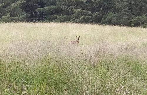 Cluny Mains - Foto 42