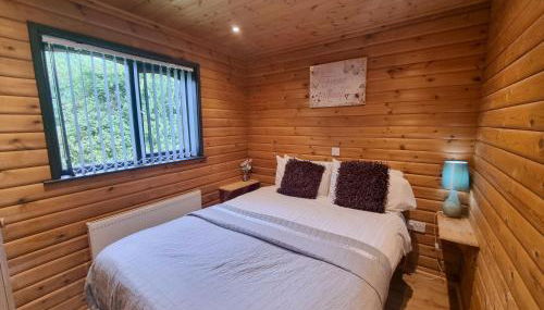 Willow Plus 4 Hot Tub - Foto 3