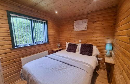 Willow Plus 4 Hot Tub - Foto 3