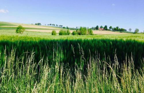 Spacious semi-detached house with wood stove located directly on the Rennsteig - Foto 35