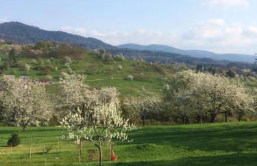 Ferienwohnungen Brack in Gaggenau - Foto 21