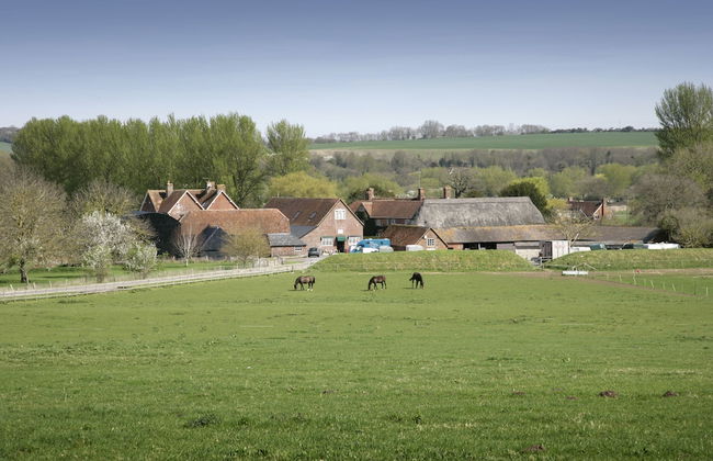 Bridge Farmhouse - Foto 45