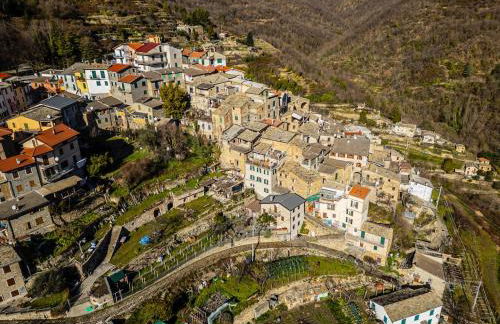 La Casa della Musica - Foto 42