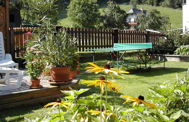 Bio Bauernhof Hotel Matlschweiger - Foto 31