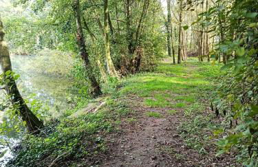 "Kota coeur de bois" Chalet en bois au domaine de l'Aa - Foto 22