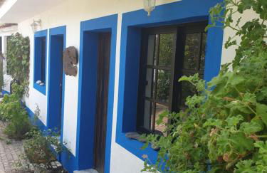 Quinta de São Pedro - Photo 29