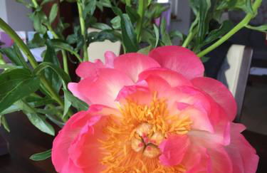 Ferienwohnung "Alte Mühle" - Foto 20