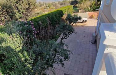 Los Olivos - Foto 24