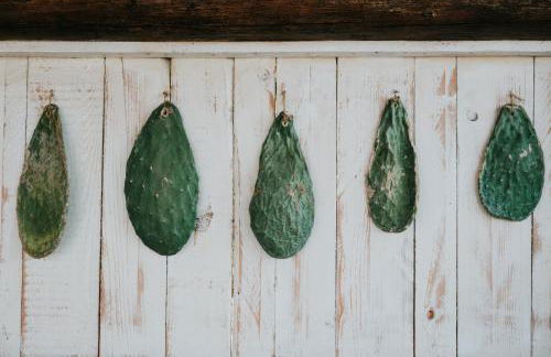 L'Ulivo Bianco - Foto 15