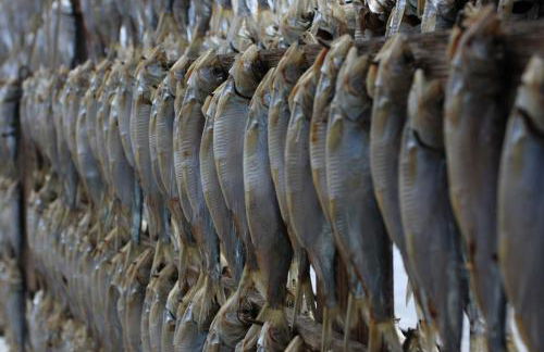 Mansarda di Masha - Photo 28