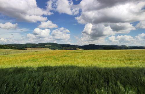 Ferienwohnungen Schneider - Foto 19
