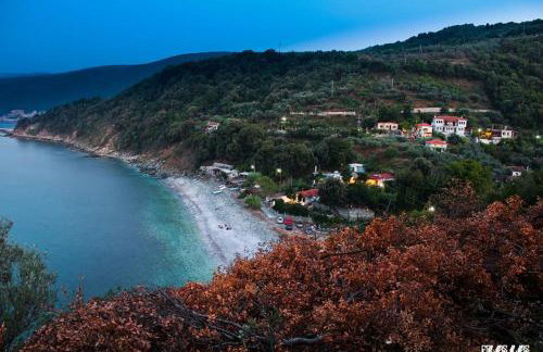 The StoneHouse - Photo 15