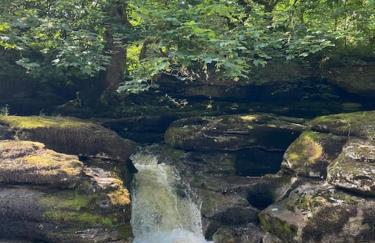 Fettlers Cottage, Cumbria - Photo 24