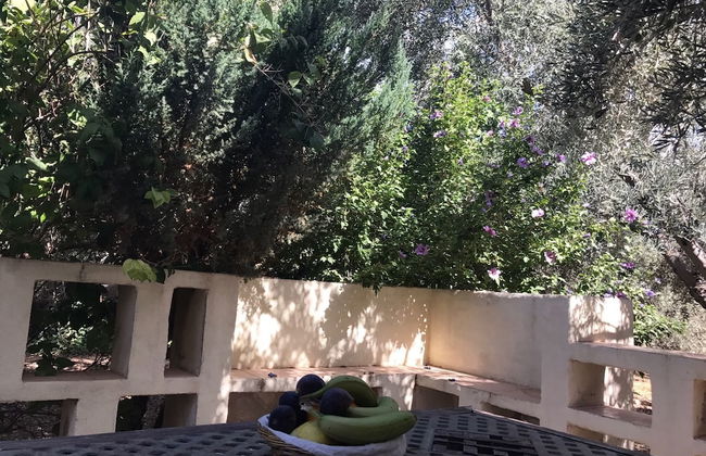 La Casita De Lola - Photo 15