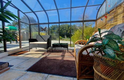 Sea Shells - Foto 34