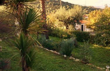 Casa das 3 Palmeiras - Foto 62