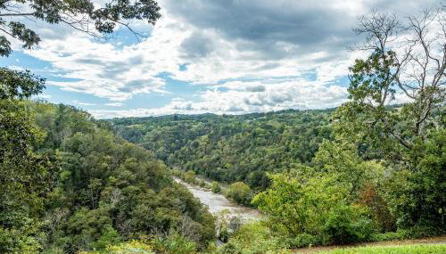 Hot Tub and River Views Doolittle Mountain Cabin - Foto 4