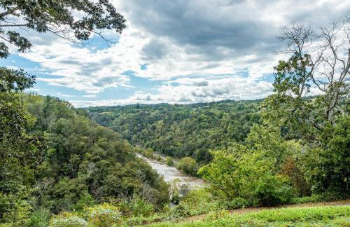 Hot Tub and River Views Doolittle Mountain Cabin - Foto 4