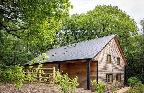 Errwood, woodland lodge with hot tubs for 14 - Foto 1