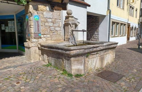 Apartment am Fischbrunnen - Photo 14