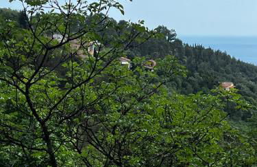 EZE Roc (Monaco) - Foto 11