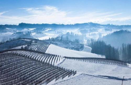 Hillview Langhe Apartment - Foto 78