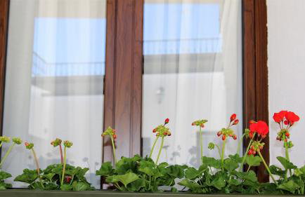 CASA VERDE Comfortable Air-Conditioned Modern Apartments - Foto 57