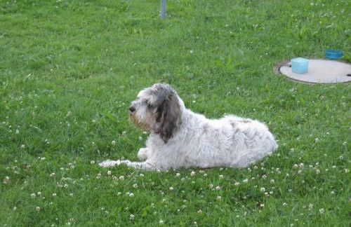 Haus am Kreuzbühl - Foto 37