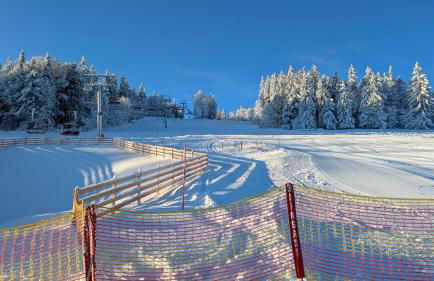 Apartmán Almberg - Mitterdorf - Mitterfirmiansrout - Foto 33