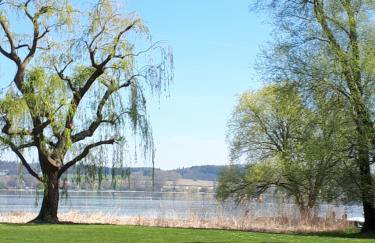 Homal - Foto 25