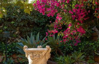 Le jardin de Teresa - Foto 10