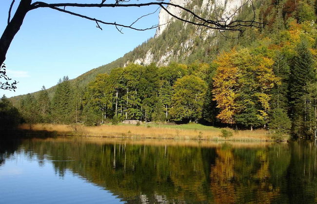 Ferienwohnungen Thanner - Foto 31