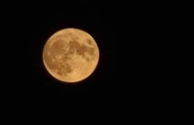 Pizzicalaluna Agriturismo Olistico sulle Colline di Pianoro - Photo 76