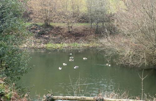 Palm House - Luxury Wye Valley Country House 2 Bed Apartment - Dog Friendly - Foto 36