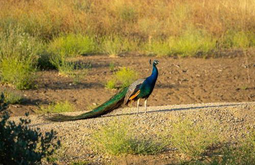 8 Mile House Deluxe - Foto 54