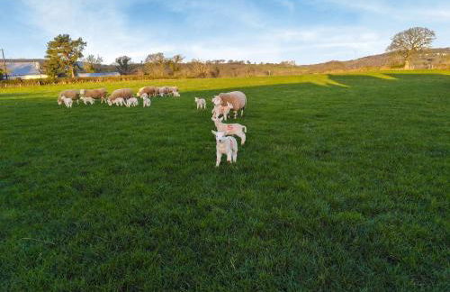 Scarlett Lodge - Photo 17