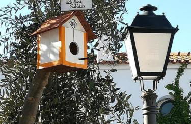 adubai Obidos - Foto 22