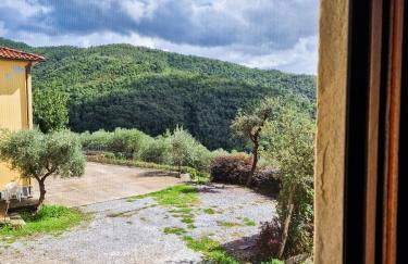 Villa Pacinotti - Foto 41