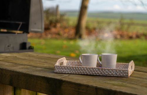 2 Pheasant - Photo 30