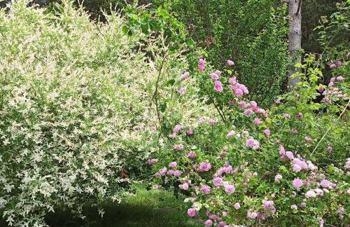 Plitvice Studio Apartments - Foto 59