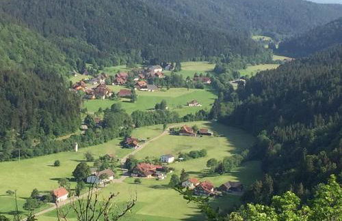 FeWo im Tal der Sonne - Albtal - Foto 26
