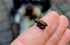 Ferienwohnungen & Landlust Fulda - Photo 42