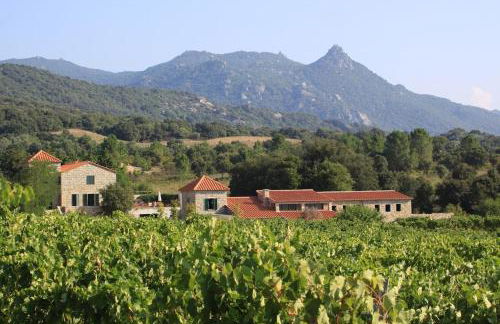 Les anciennes écuries, belle villa pour 12 personnes au coeur d'un vignoble avec piscine - Foto 35