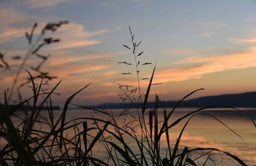 Rustic Chic Alabama Cabin w Loft Fire Pit Pet Friendly Fenced Yard Lake Guntersville - Lucky Lodge - Foto 78