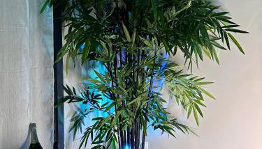 NEW PROCHE NAUSICAA ! « Mille et Un Rêve » - Photo 4